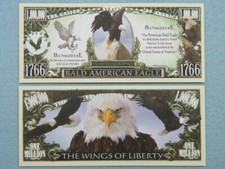 20 Factures ~ Chauve American