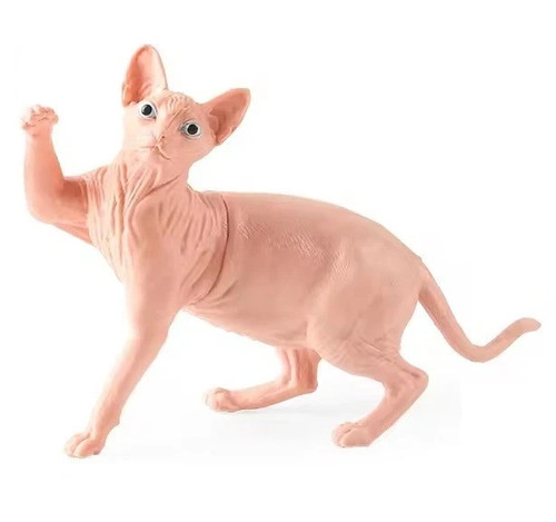 Sphynx cat toy - cat, action