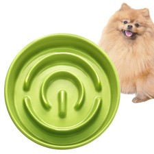 Gamelle Anti Glouton pour