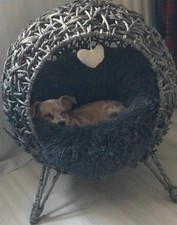 Panier Chien Ou Petit Chat