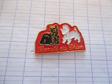 pin's BEAUTE DU CHIEN, toilet