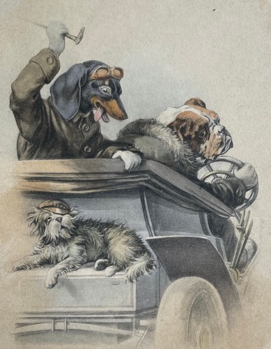 Dachshund teckel bulldog - dachshund,