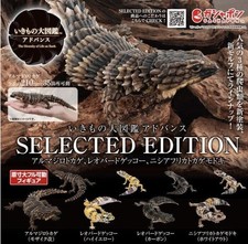 Bandai Gashapon Gecko SELECTED EDITON Action Figure Armadillo Lizard Leopard etc