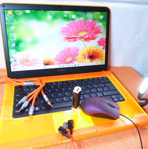 Sony vaio neon - neon, orange