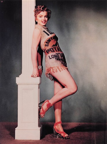 Marilyn monroe photo - marilyn,