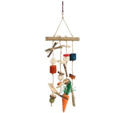 Jouets à Mâcher Suspendus