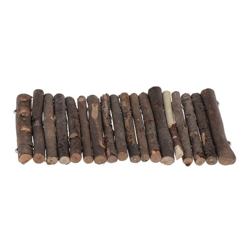 Reptile plate forme tortue - reptile, plate-forme