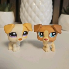 ✨️Authentic Littlest Pet