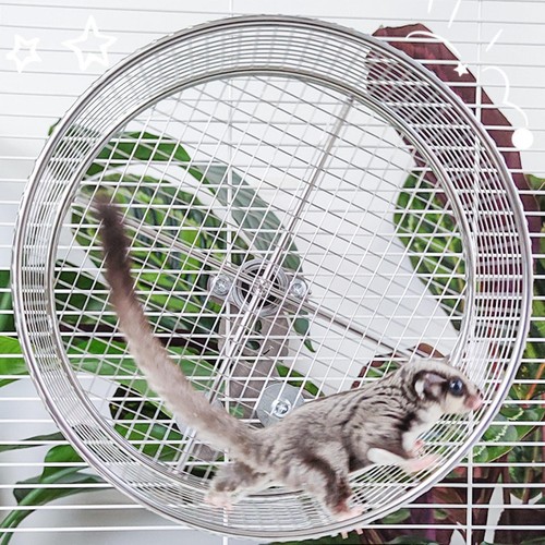 Activité roue exercice - de,