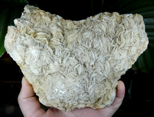 Xxl baryte crêtée - xxl, 16x11cm
