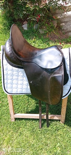 County competitor dressage - county,