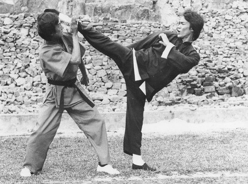 Bruce lee kung - , fu