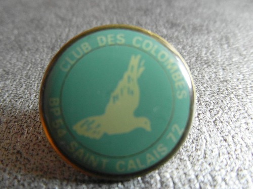 Rare pin pins saint - rare, pin's