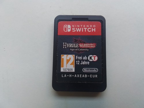 Hyrule warriors ère du - hyrule,