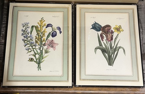 Paire aquarelle originale - paire,