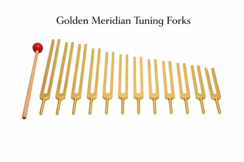 Meridian diapason - ✨,