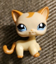 ✨️LPS #1024 LITTLEST PETSHOP AUTHENTIC CHAT EUROPEEN EUROPEAN  Shorthair Cat✨️