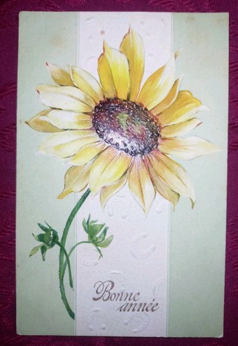 Cpa 1906 bonne année fleur - cpa,