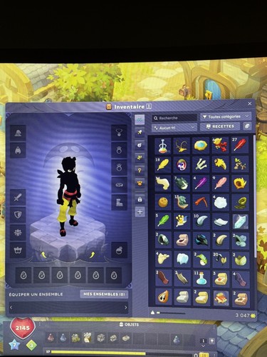 Compte dofus iop - compte,