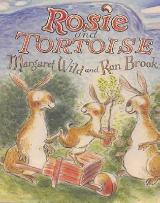 Rosie and tortoise viking - and,