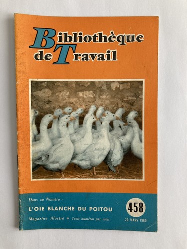 458 1960 oie blanche - 458,
