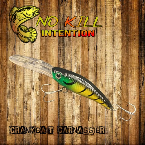 Leurre dur crankbait - dur,