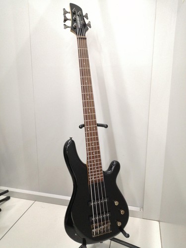 Guitare basse électrique