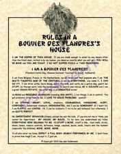 Rules In A Bouvier des Flandres's House