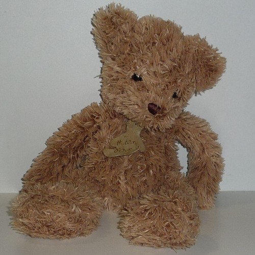 Doudou ours histoire - doudou, d'ours