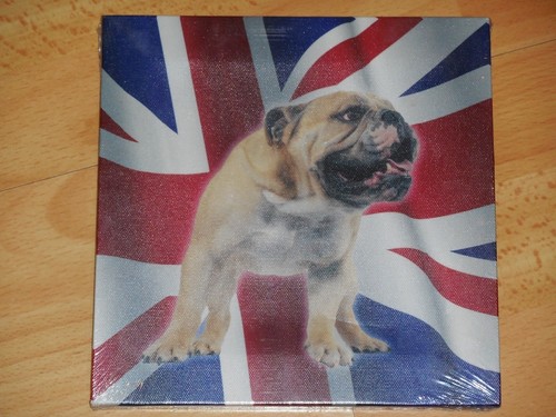 Neuf tableau chien bouledogue - neuf,