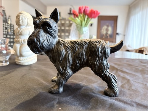Ancien chien scottish - ancien, terrier