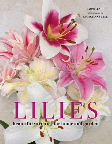 Lilies beautiful varieties - beautiful,