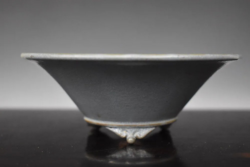 Tonyo japanese bonsai - japanese, pot