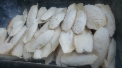 Seiche 1 kg - de,