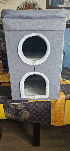 Maison chat - maison, a