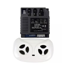 Récepteur Voiture Électrique