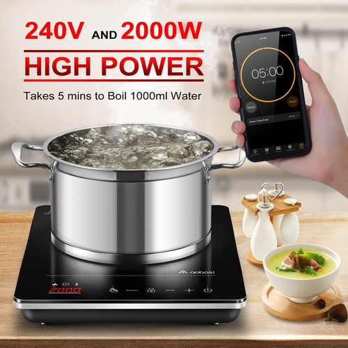 Plaque induction portable