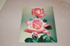 ANCIENNE PUBLICITÉ PHARMACEUTIQUE  HYDROSARPAN FORT " les rosiers" Perfect A