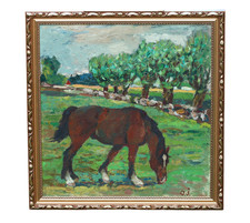 Inconnu Cheval Sur Prairie