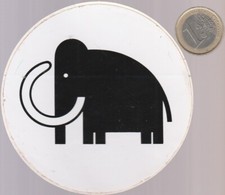 Grande distribution. MAMMOUTH