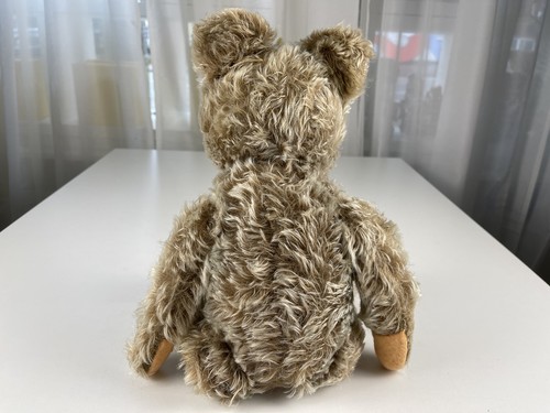 Ours peluche steiff animal - ours, en