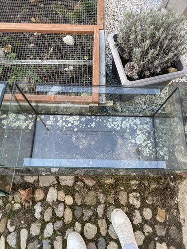 terrarium