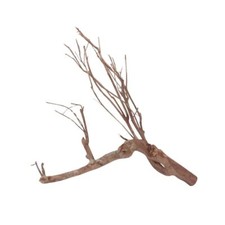 Aquarium Racine Déco