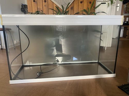 Aquarium blanc avec - aquarium,