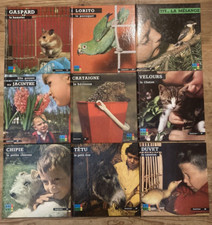 Lot 9 Images de la Nature