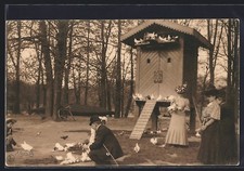 CPA Bruxelles, Les pigeons à l´Ile du Bois 