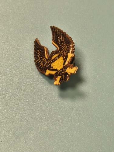 Vintage pin aigle ride to - ride,