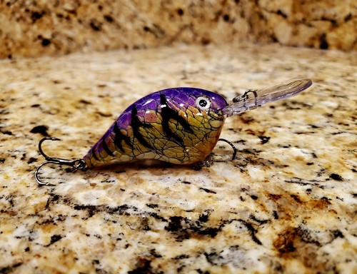 Custom painted rapala dt10 - custom,