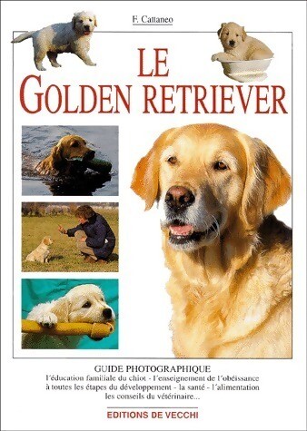 Golden retriever f - retriever,
