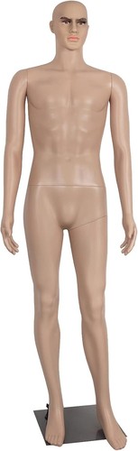 Male mannequin torso inches - male,